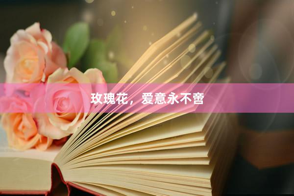 玫瑰花，爱意永不啻
