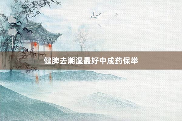 健脾去潮湿最好中成药保举